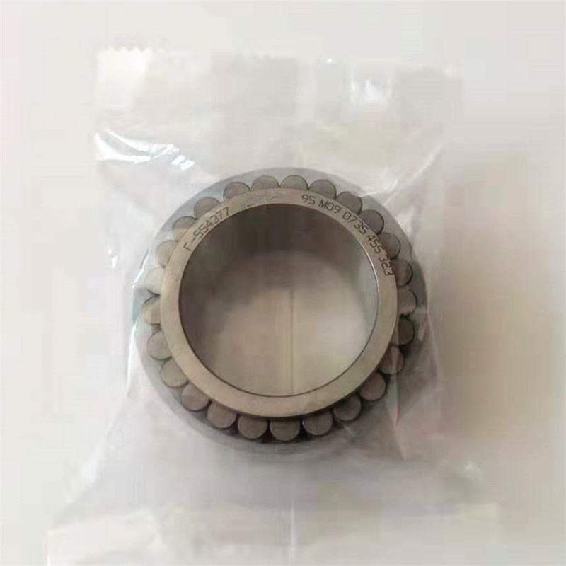 Hydraulic pump bearing F-554377 Double Row Cylindrical Roller Bearing F-554377